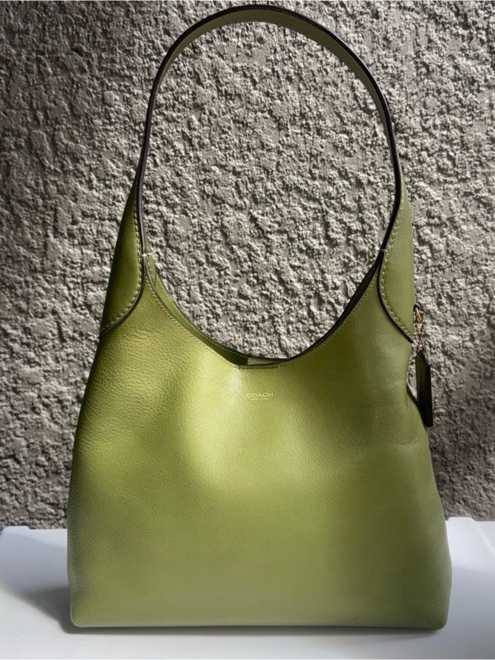 Coach Dark Lime Brooklyn 28